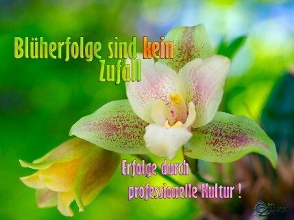 Orchideendünger, Orchideensubstrat